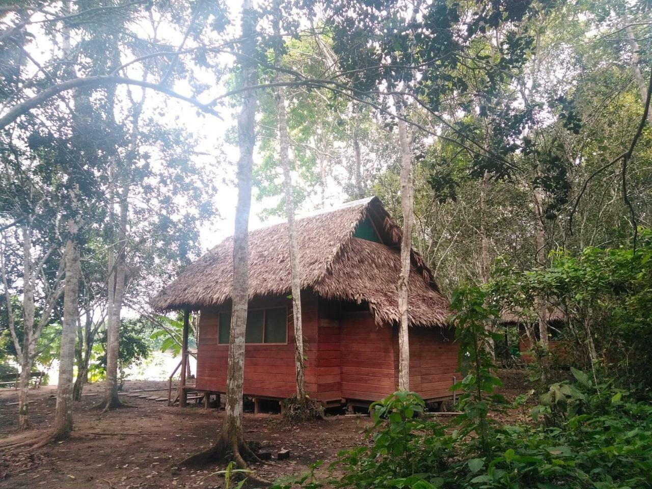 Majacho'S House Hostel ปูแอร์โต มัลโดนาโด ภายนอก รูปภาพ